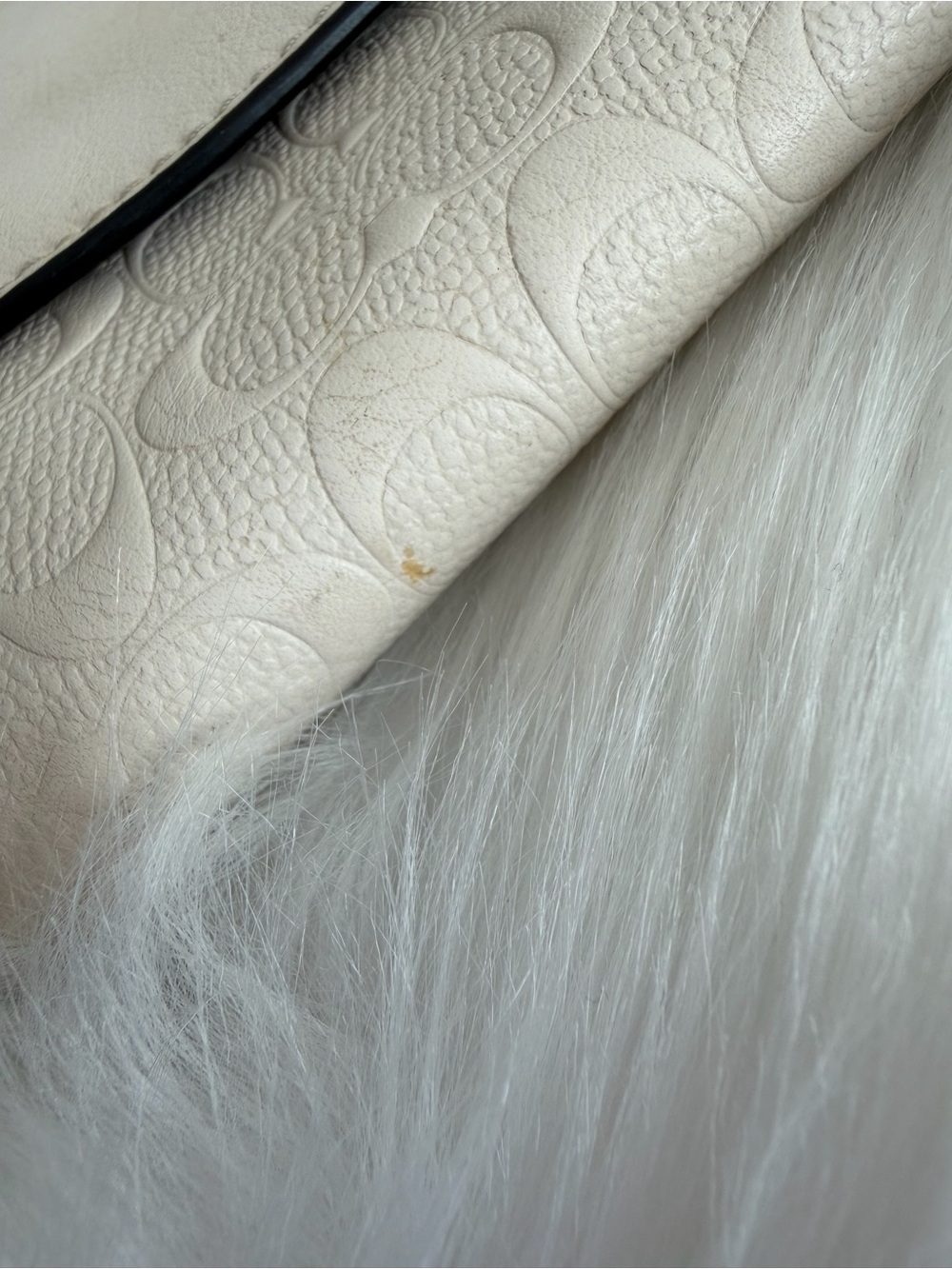 Coach ruby crossbody - Picture 4 of 13